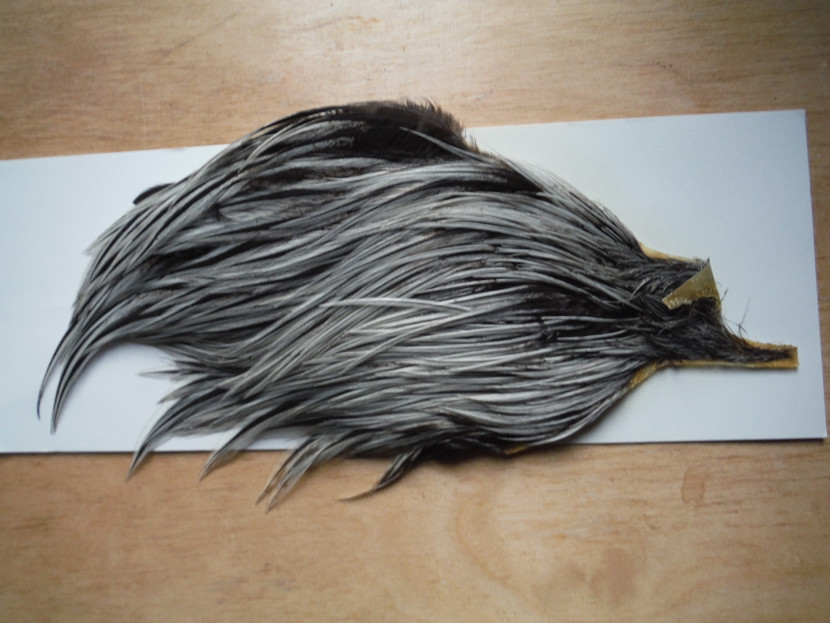 Badger cape